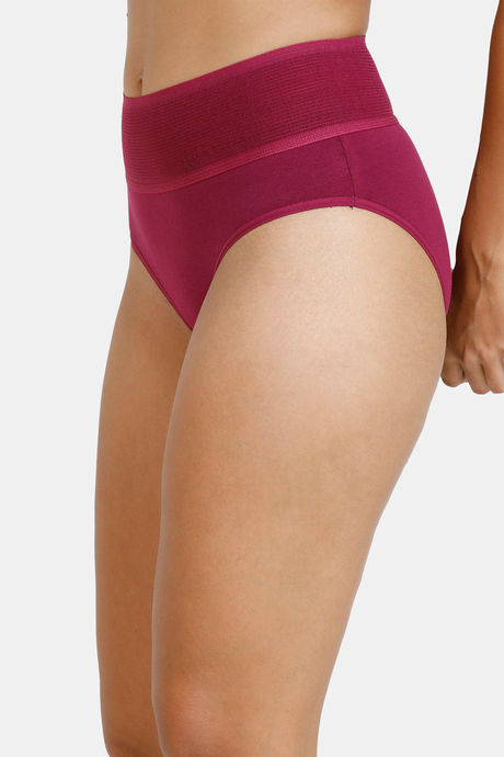Zivame Anti-Microbial High Rise Full Coverage Tummy Tucker Hipster Panty (Pack of 2) - Multicolor — image 4